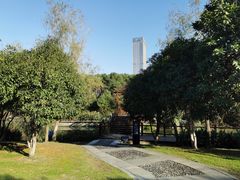 -艾溪湖湿地公园