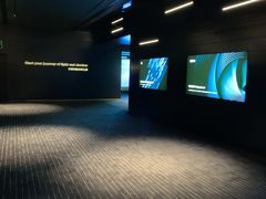 -奥斯卡升龙国际影城(RealD Cinema)