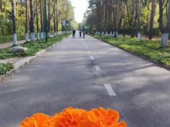 -黑龙江省森林植物园