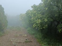 -大觉寺-停车场