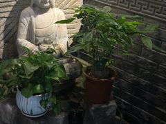 -满乡小馆