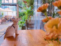 -云里小坐·小院里·团建·宴请·下午茶(三圣乡店)