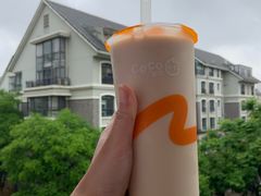 红茶拿铁（大杯）-CoCo都可(宝龙广场店)