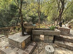 -广州白江湖森林公园