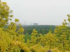 -东郊湿地公园