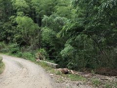 -众神白水涧景区