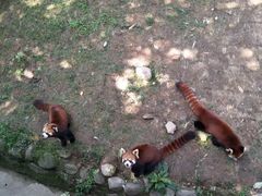 -西安秦岭野生动物园
