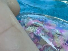 -重庆海昌加勒比海水世界