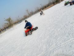 -绿野森林乐园冰雪季