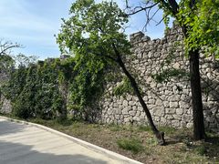 -原山国家森林公园