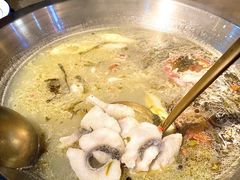 -土著渔匠·养生蝴蝶鱼(香樟路店)