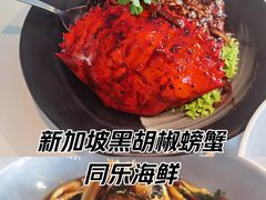 -同乐海鲜(乌节路中央店)