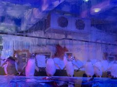 -芜湖新华联大白鲸海洋公园