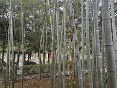 -故乡缘·香格里拉山庄(冷竹路店)