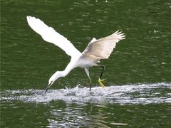 -重庆彩云湖湿地公园