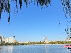 -莲花池公园
