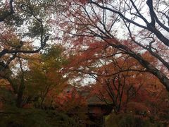 -常寂光寺