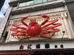 -蟹道乐(道顿堀本店)