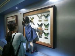 -上海昆虫博物馆