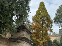 -兴教寺