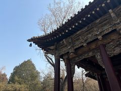 -晋祠公园