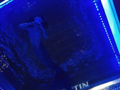 -重庆解放碑威斯汀酒店