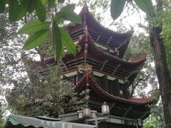 -香园自助小火锅