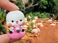 -海南热带野生动植物园
