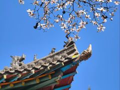 -碑林公园
