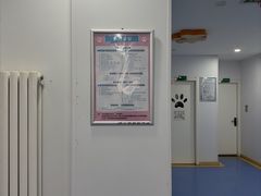 -天使宠物医院·犬猫分诊(彩虹店)