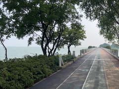 -贡湖湾湿地公园