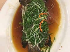 -金鮀岛潮州酒家
