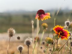 -永定河休闲森林公园