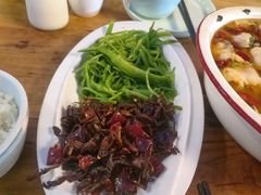 -缘生态云南菜·野生菌庭院餐厅(华侨城店)