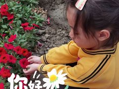 -晶宝温泉农庄