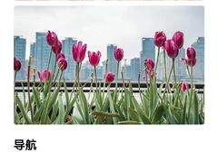 -港丽餐厅(来福士店)