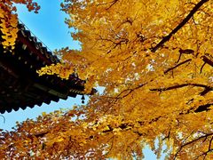 -红螺寺
