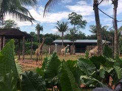 -海南热带野生动植物园