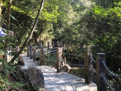 -九龙江国家森林公园