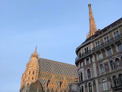 -斯蒂芬主教座堂(Stephansdom)