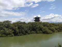 -盐洲岛