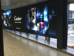 -米兰马尔彭萨国际机场