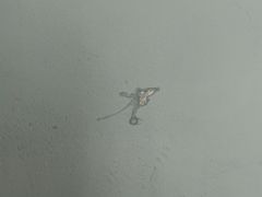 -白玉兰酒店(上海田子坊马当路地铁站店)