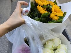 -溪岸路花鸟市场