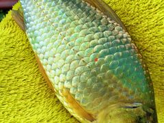 -蓝天路(地铁站)