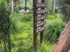 -幽岚山·童话森林