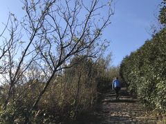 -缥缈峰景区