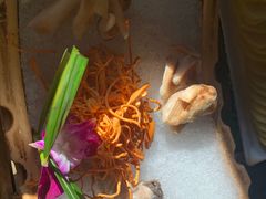 -滇釜火锅·能喝汤的火锅(车公庄店)