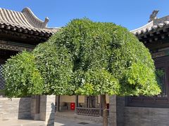 -梁思成纪念馆