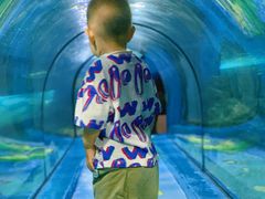 -福州罗源湾海洋世界旅游区